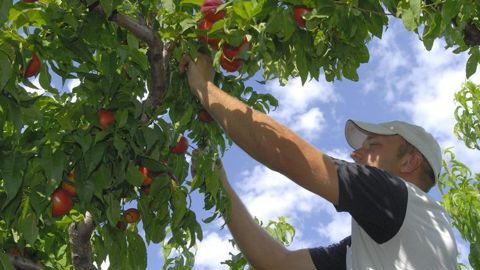 Il est recommandé aux employeurs d’aménager les horaires de leurs salariés en cas de fortes chaleurs. © Stéphane Leitenberger